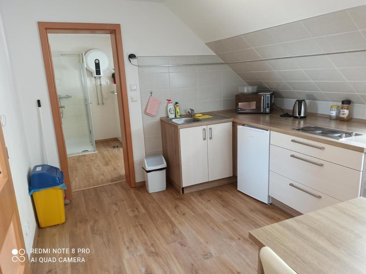Apartma Na Lipne Διαμέρισμα Horní Planá Εξωτερικό φωτογραφία